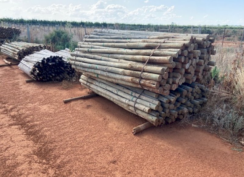 3500 Pine Posts for sale ONO Farm Tender