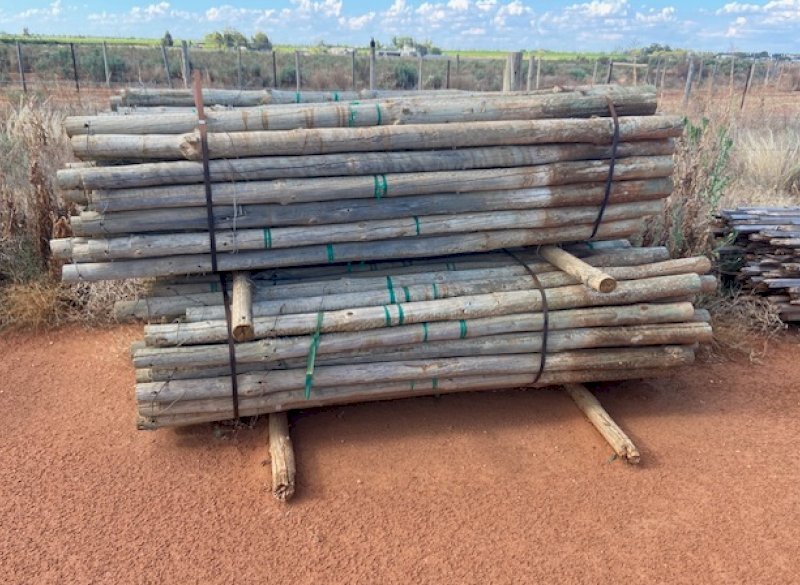 4500 Pine Posts for sale Farm Tender