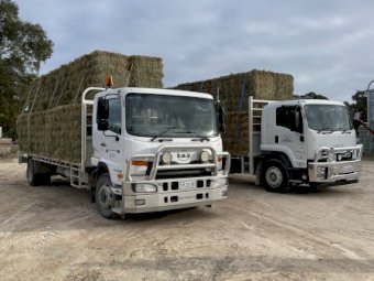 2012 Nissan UD PK 16250 Tray Truck