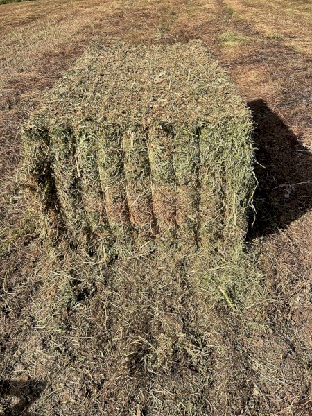 100mt Vetch Hay 650-700kg 8x4x3 Bales (New Season 23/24)