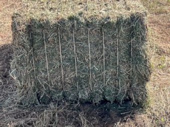 100mt Vetch Hay 650-700kg 8x4x3 Bales (New Season 23/24)