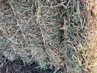 100mt Vetch Hay 650-700kg 8x4x3 Bales (New Season 23/24)