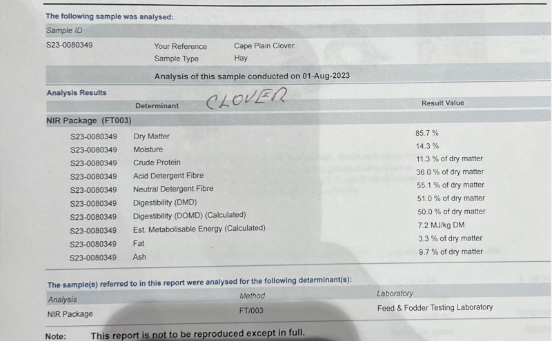 72 mt  Arrow Leaf Clover Hay