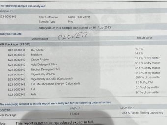 72 mt  Arrow Leaf Clover Hay