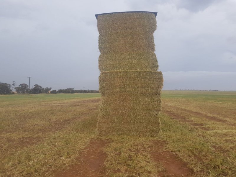 150mt Oaten Hay 650-700kg 8x4x3 Bales (New Season 23/24)