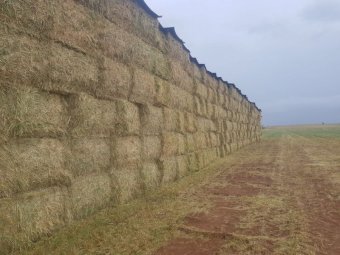 150mt Oaten Hay 650-700kg 8x4x3 Bales (New Season 23/24)
