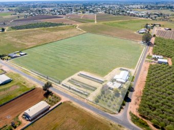 23 Acre Lifestyle Property with 3 Bedroom House and Shed at Red Cliffs, Vic