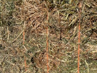 290mt Vetch Hay 650kg 8x4x3 Bales (New Season 23/24)