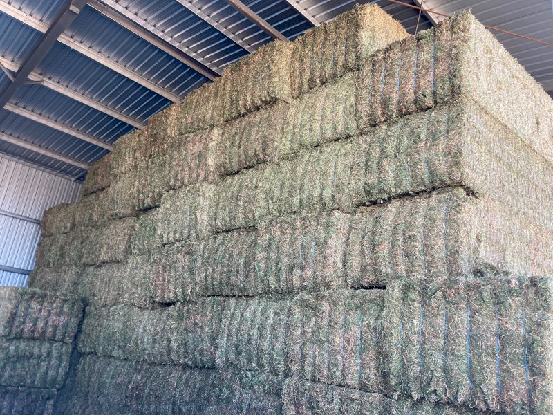 275mt Vetch Hay 650kg 8x4x3 Bales