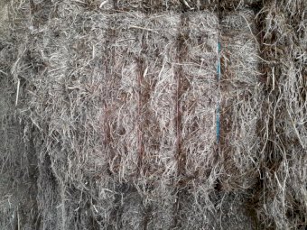 Vetch Hay Shedded 22/23 Season