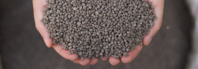 MAP ex Leeton - small and large Quantities available