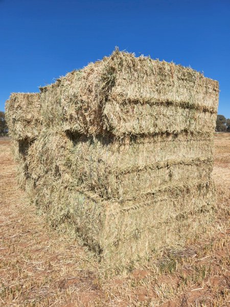 500mt Oaten Hay 680kg 8x4x3 Bales (New Season 23/24)