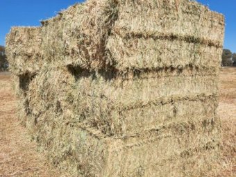 500mt Oaten Hay 680kg 8x4x3 Bales (New Season 23/24)