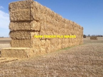 500mt Wheaten Hay 680kg 8x4x3 Bales (New Season 23/24)