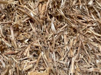 24 x Vetch Hay 8x4x3 Bales