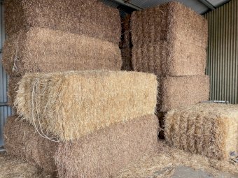 24 x Vetch Hay 8x4x3 Bales