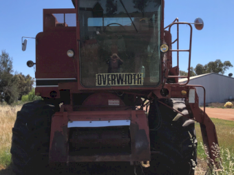 International 1460 Harvester