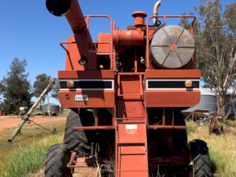 International 1460 Harvester