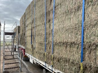 300 mt Vetch Hay 8x4x3 Bales in the Paddock (23/24 Season)