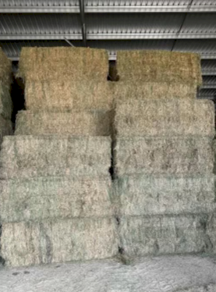 30mt Lucerne Hay 630kg 8x4x3 Bales
