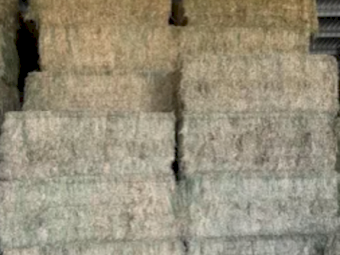 30mt Lucerne Hay 630kg 8x4x3 Bales