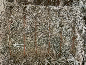 30mt Lucerne Hay 630kg 8x4x3 Bales