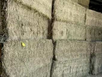 30mt Lucerne Hay 630kg 8x4x3 Bales