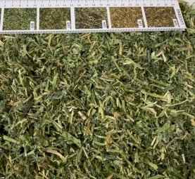 22mt Lucerne Hay 630kg 8x4x3 Bales