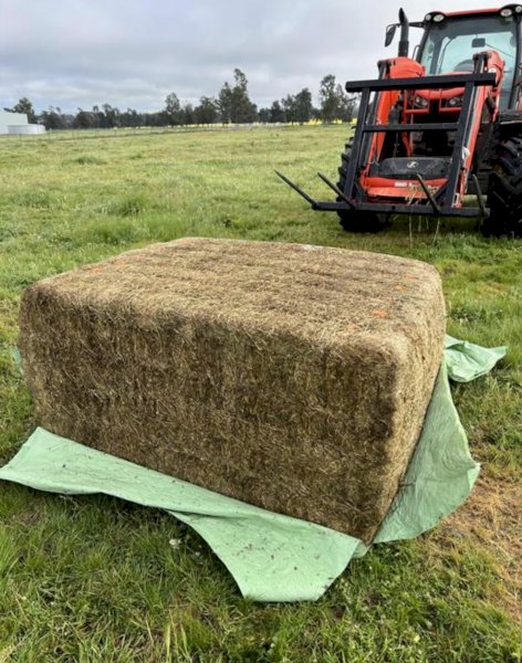 124mt Lucerne Haylage 620kg 6x4x3 Bales