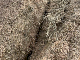 124mt Lucerne Haylage 620kg 6x4x3 Bales