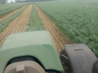 New Season Wheaten Hay 5x4 Rolls