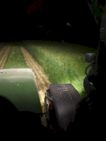 23 Season Forage Barley Hay 5 x 4 Rolls