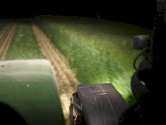 23 Season Forage Barley Hay 5 x 4 Rolls