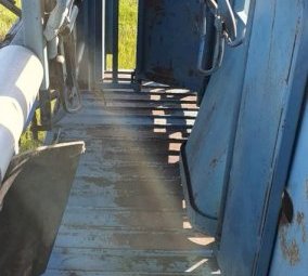 Peak Hill Sheep Handler