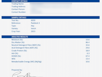 260mt Vetch Hay 700-750kg 8x4x3 Bales (New Season 23/24)