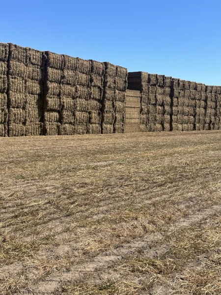 640mt Vetch Hay  23/24 Season
