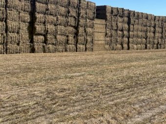 640mt Vetch Hay  23/24 Season