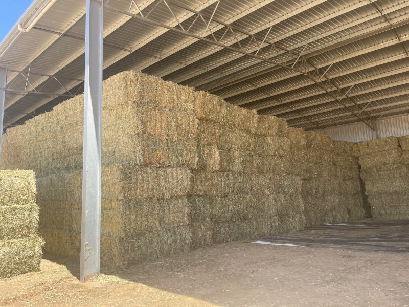 500mt Oaten Hay 650kg 8x4x3 Bales