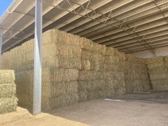500mt Oaten Hay 650kg 8x4x3 Bales
