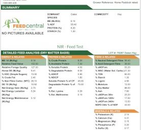 500mt Oaten Hay 650kg 8x4x3 Bales