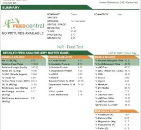 500mt Oaten Hay 650kg 8x4x3 Bales