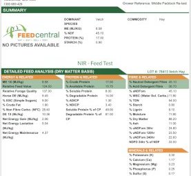 500mt Vetch Hay 650kg 8x4x3 Bales