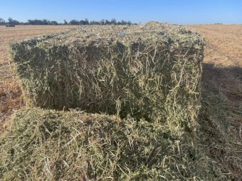500mt Vetch Hay 650kg 8x4x3 Bales