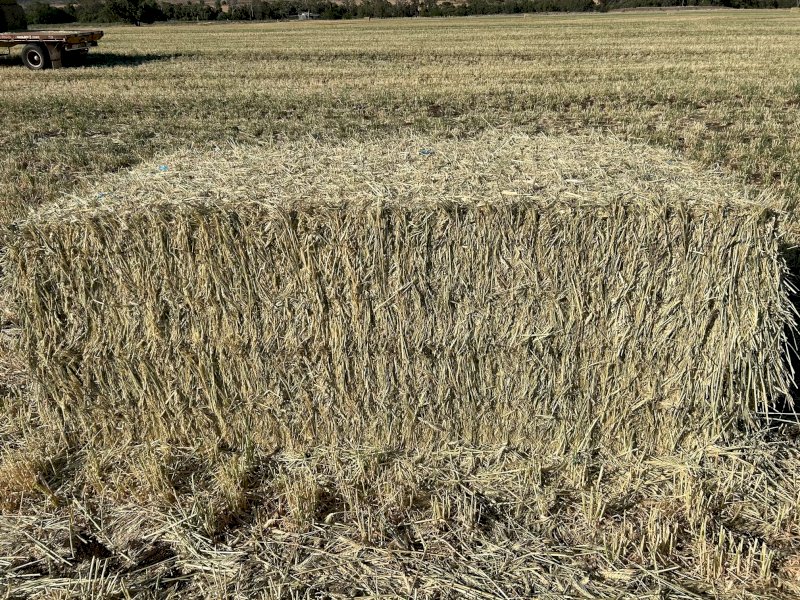 Wheaten Hay  approximately 3B double loads