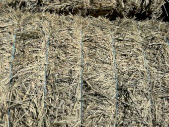 Wheaten Hay  approximately 3B double loads