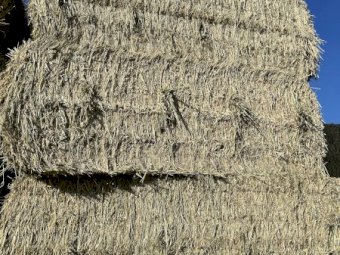 Wheaten Hay  approximately 3B double loads