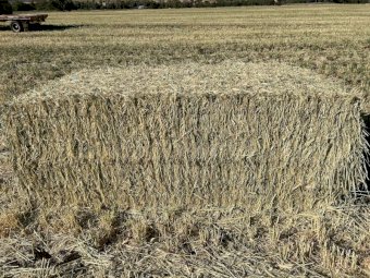 Wheaten Hay  approximately 3B double loads