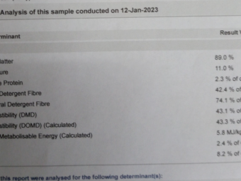 'Steamed' Header Trail Barley Straw