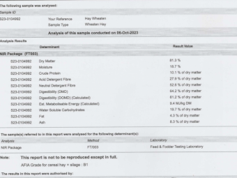 New Season Wheaten Hay 5x4 Rolls