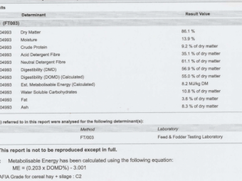 23 Season Forage Barley Hay 5 x 4 Rolls